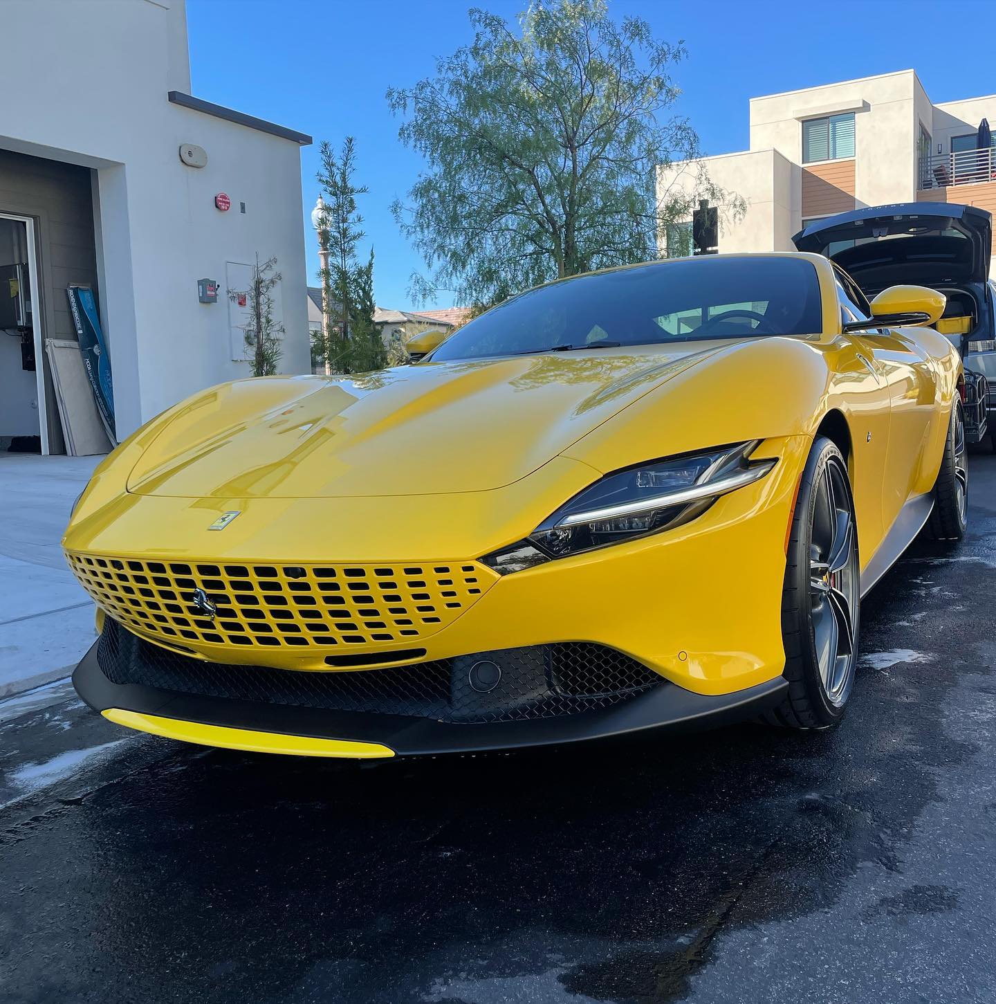 Paint Correction