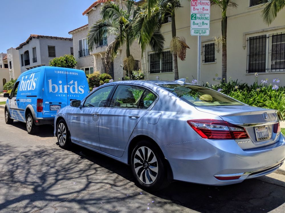 Paint Protection Film